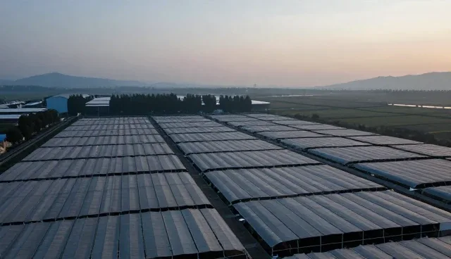 选择网络工程实施服务时应关注哪些关键点?