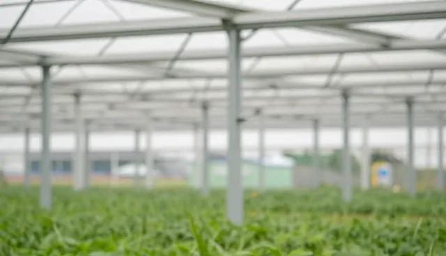 网站加载速度慢的原因及优化建议